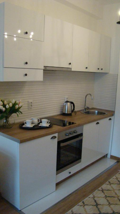Gagovic Apartamento Cetinje Exterior foto